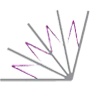 Logo IWN