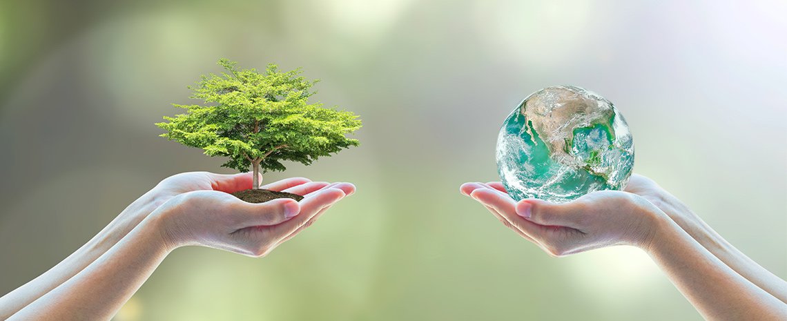Two hands holding a tree and the Earth – symbol of sustainability, environmental protection, and global responsibility with green blurred background.